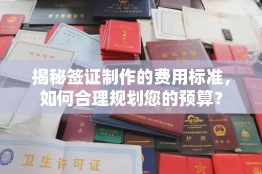 樟树揭秘签证制作的费用标准，如何合理规划您的预算？